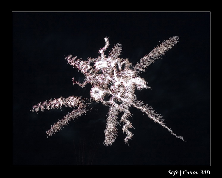 2006 - 06 - Feux de chantilly 023